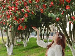 -艾溪湖湿地公园