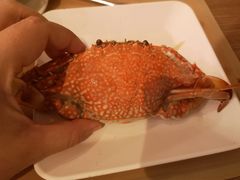 -彩虹云霄拜约克摩天塔