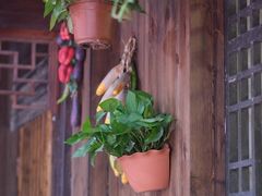 -国生茶庄·地道农家菜团建活动