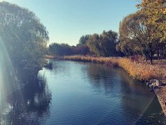 -大兴滨河森林公园