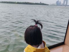 -金鸡湖桃花岛
