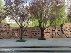 -木塔寺遗址生态公园