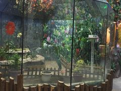 -上海大自然野生昆虫馆(东方明珠·爬宠昆虫探索中心)