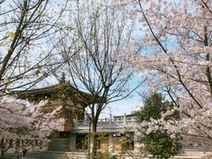 -西安青龙寺遗址景区