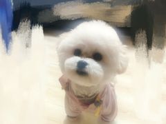 -宠屋宠物美容店