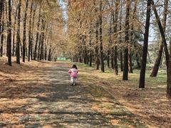 -上海海湾国家森林公园