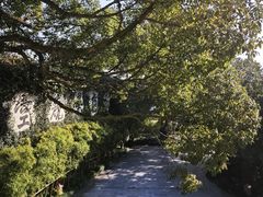 -普陀山雷迪森庄园