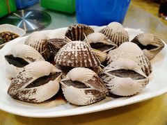白灼血蛤-双天海鲜楼