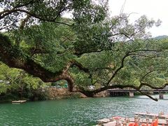 -上坦村