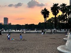 -金沙湖公园