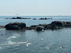 -海合安青岛极地海洋公园