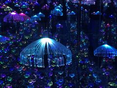 -深圳独角兽星空艺术馆