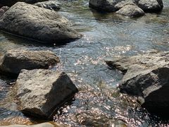 -黄巢水库