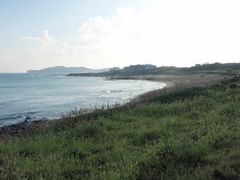 -涉地可支