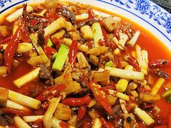 -院8里·小聚园老川菜(九眼桥店)