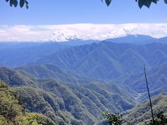 -牛背梁国家森林公园