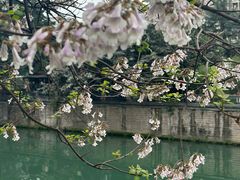 -成都市活水公园