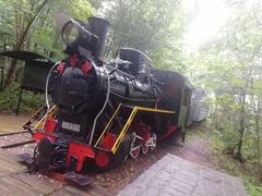 -五营红松林海景区