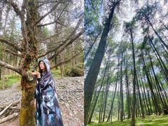 -硗碛藏寨·神木垒景区