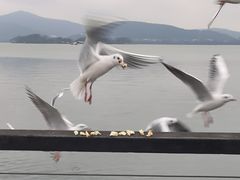 -蠡湖大桥公园