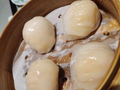 维园虾饺皇-维园悦谱·海派家常菜(乌鲁木齐南路店)