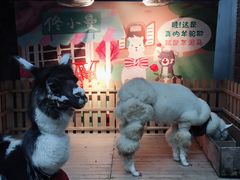 -佟小曼手工茶饼坊(鼓浪屿1店)