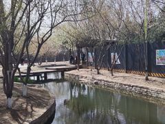 -三里河公园