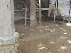 -罔极寺