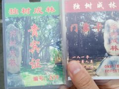 -瑞丽独树成林风景区