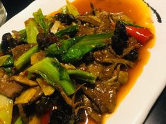 -陈麻婆豆腐总店