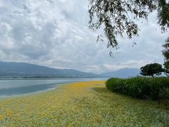 -西昌邛海湾柏樾酒店(原邛海湾柏栎度假酒店)