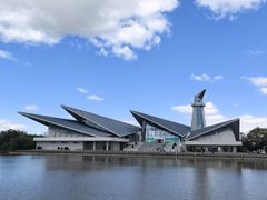 -盐城丹顶鹤湿地生态旅游区