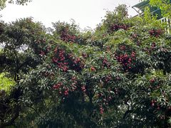 -南宁市动物园
