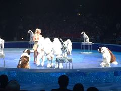 -珠海横琴长隆《卡卡虎奇遇记》