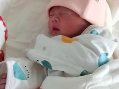 -田螺阿姨自营月嫂·育儿嫂(高新店)