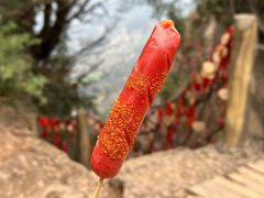 -剑门关风景区