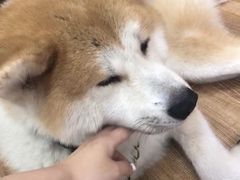 -YCHL Studios健身工作室(市二宫店)