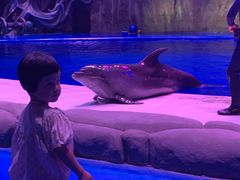 -华夏文旅海洋公园