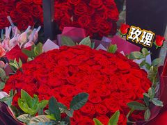 -大自然花鸟鱼虫市场