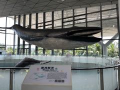-中国（海南）南海博物馆