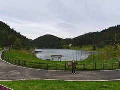 -武陵山森林公园