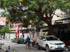 -溪岸路花鸟市场