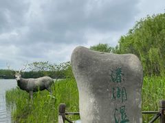 -溱湖国家湿地公园