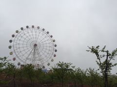 -田野绿世界