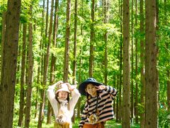 -黄海国家森林公园