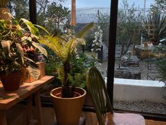 -自由生长植物工作室(深港花卉中心店)
