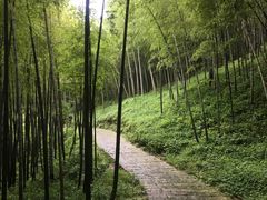-广州市石门国家森林公园