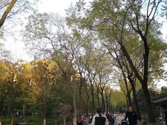 -莲湖公园