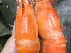 -蟹村草堂·苏式园林人文农家·大闸蟹