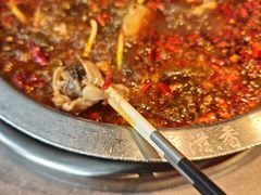 -蜀滋香鲜鱼美蛙火锅(339店)